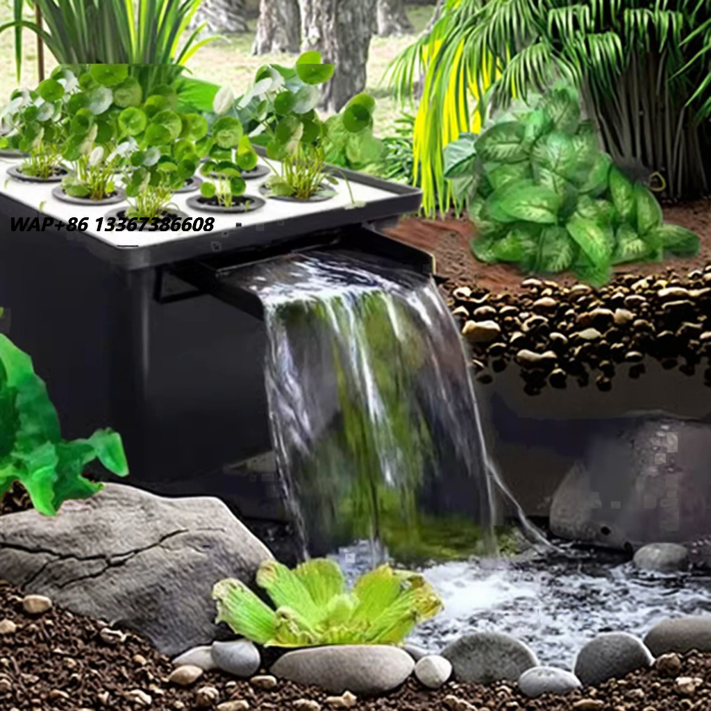 Aquarium Fish In Pond - Fabrika Çıkışlı Açık Hava Bahçe Balık