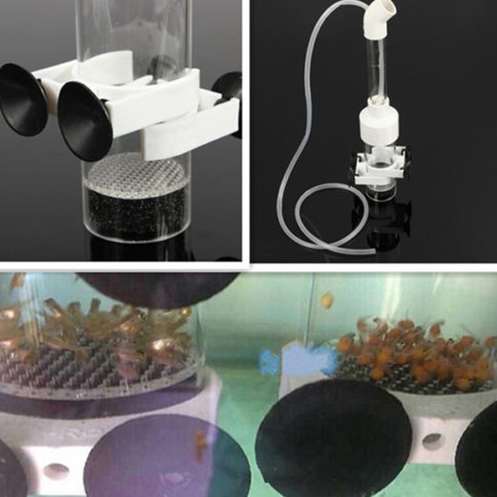 Aquarium Fish Eggs - Yumurta Kuluçka Makinesi Balık Akrilik Kuluçka