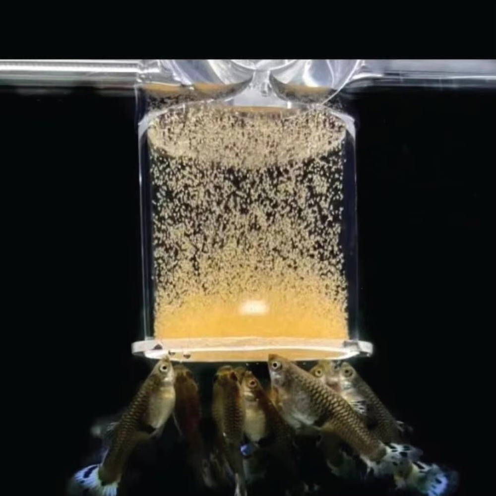 Aquarium Fish Eggs - Akrilik Tuzlu Su Karidesi Besleyici Sabit
