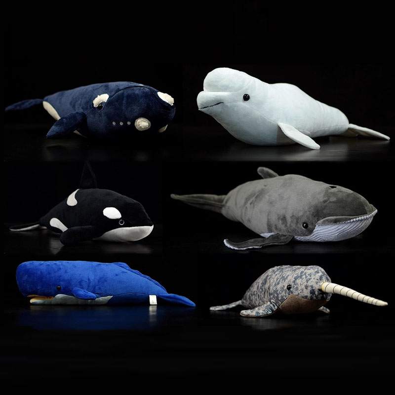 Wild Aquarium Fish - Simüle Edilmiş Hayvan Öldürücü Baleen Beyaz