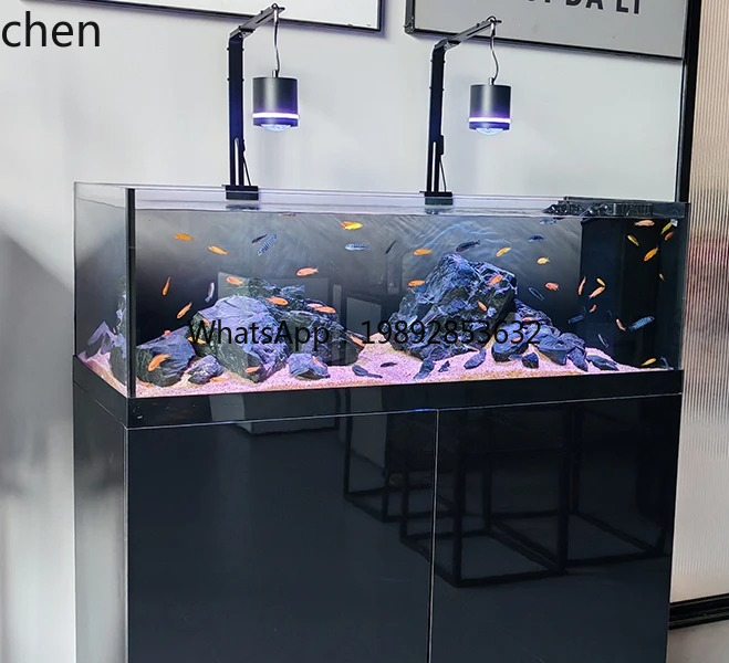 Wild Aquarium Fish - Akıntı Tankı Yerli Vahşi Hayvan Koleksiyonu