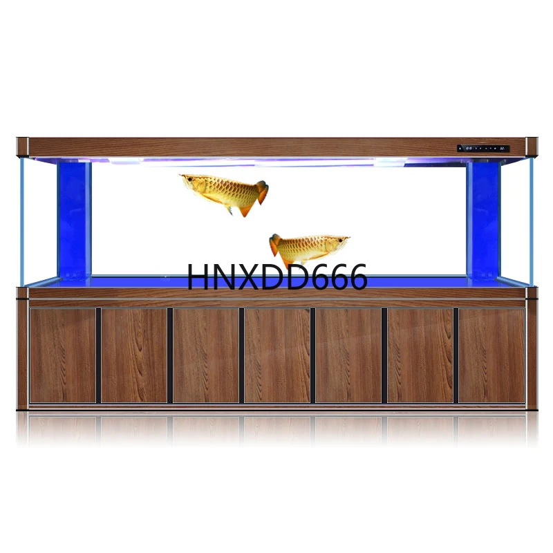 Aquarium Fish Dragon - Büyük altın ejderha balık tankı akvaryumu,