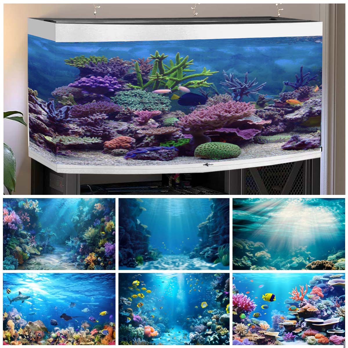 Aquarium Fish World - Sualtı Dünyası Fotoğraflar için Arka Planlar