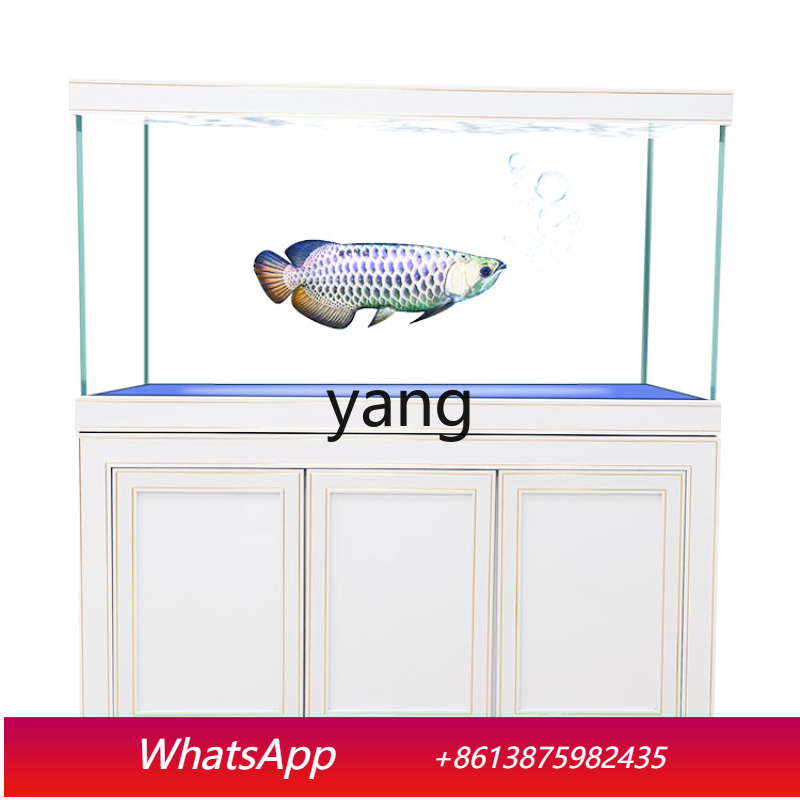 Aquarium Fish Dragon - LH Süper Beyaz Cam Orta ve