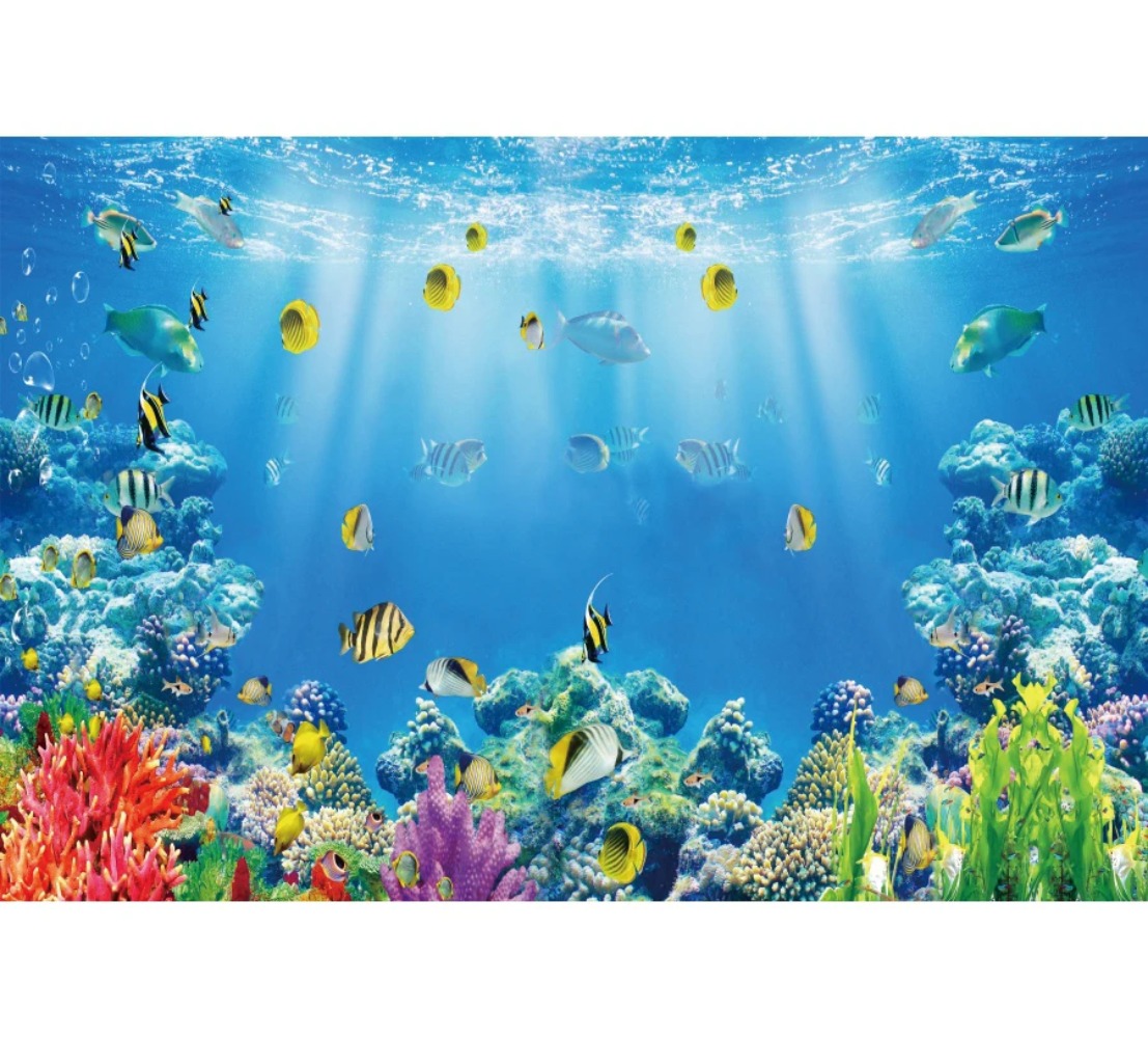 Sualtı Dünyası Balık Mercan Ak - Aquarium Fish World incelemesi ve fiyatı