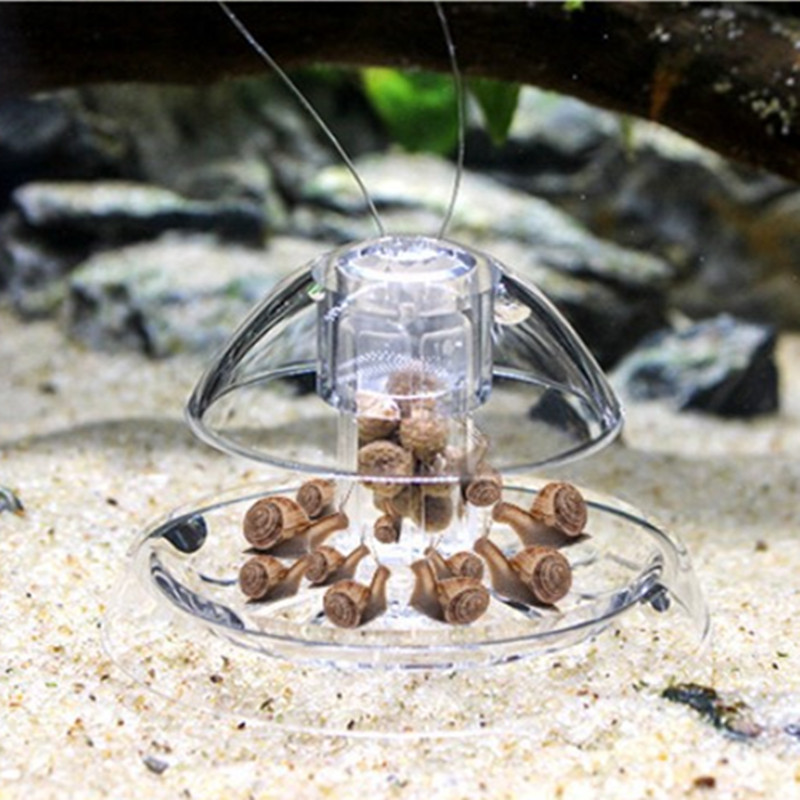 1 adet balık tankı akvaryum te - Aquarium Fish Eggs incelemesi ve fiyatı
