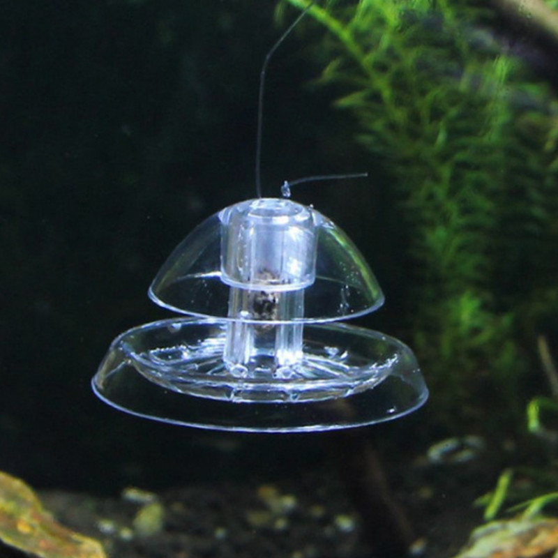 1 adet balık tankı akvaryum te - Aquarium Fish Eggs incelemesi ve fiyatı