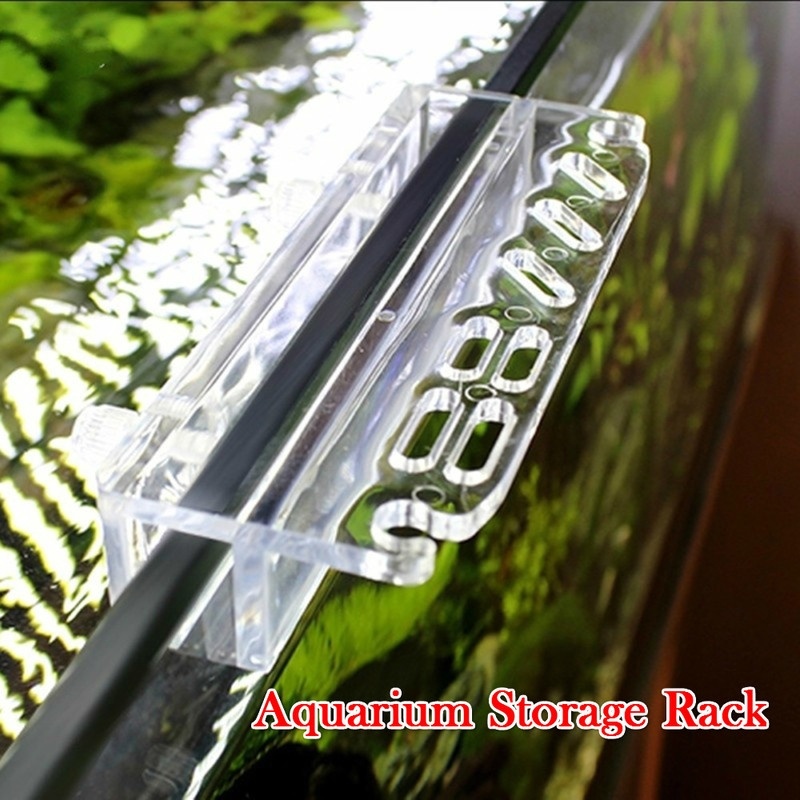 1 adet yeni akvaryum bitki ara - Aquarium Fish Store incelemesi ve fiyatı