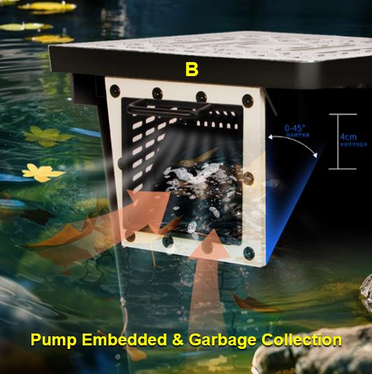 Fabrika Çıkışlı Açık Hava Bahç - Aquarium Fish In Pond incelemesi ve fiyatı