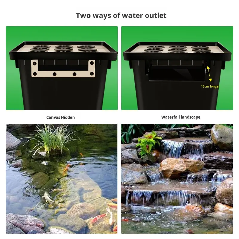 Fabrika Çıkışlı Açık Hava Bahç - Aquarium Fish In Pond incelemesi ve fiyatı