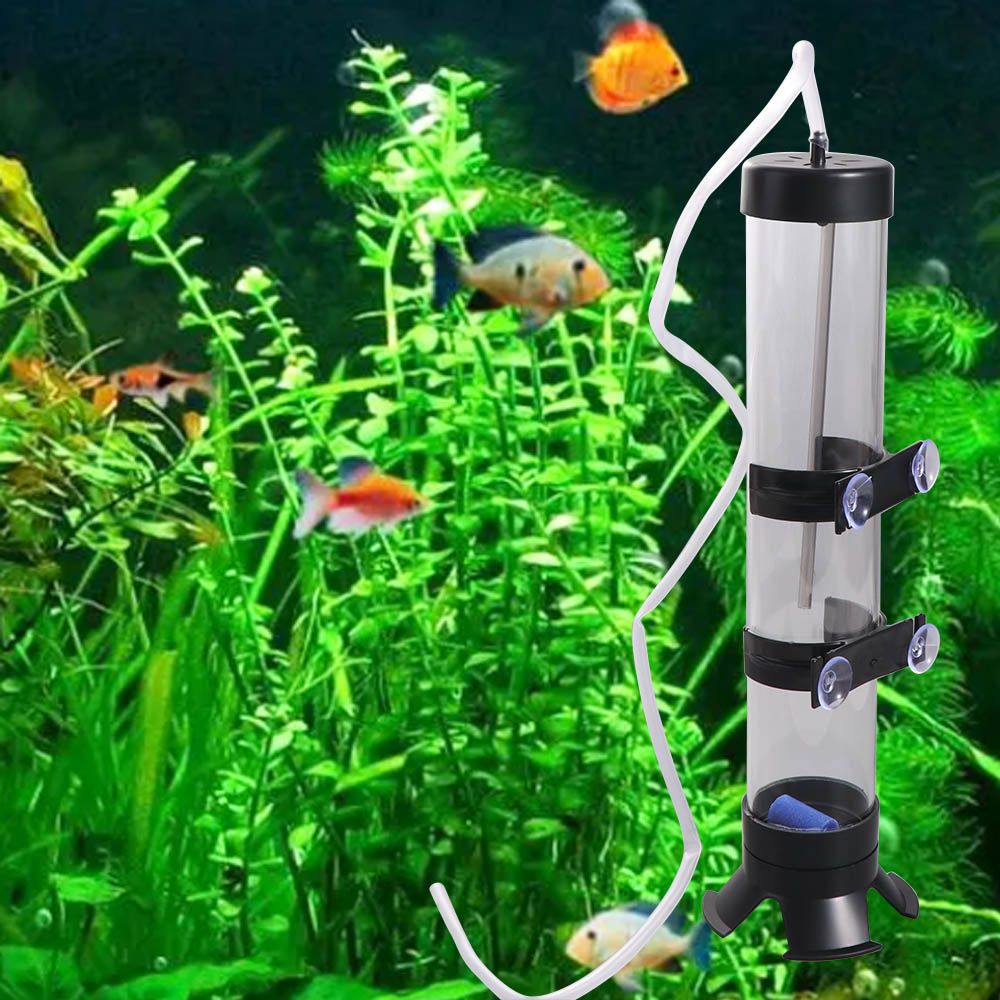 Plastik Artemia Yumurta Kuluçk - Aquarium Fish Eggs incelemesi ve fiyatı
