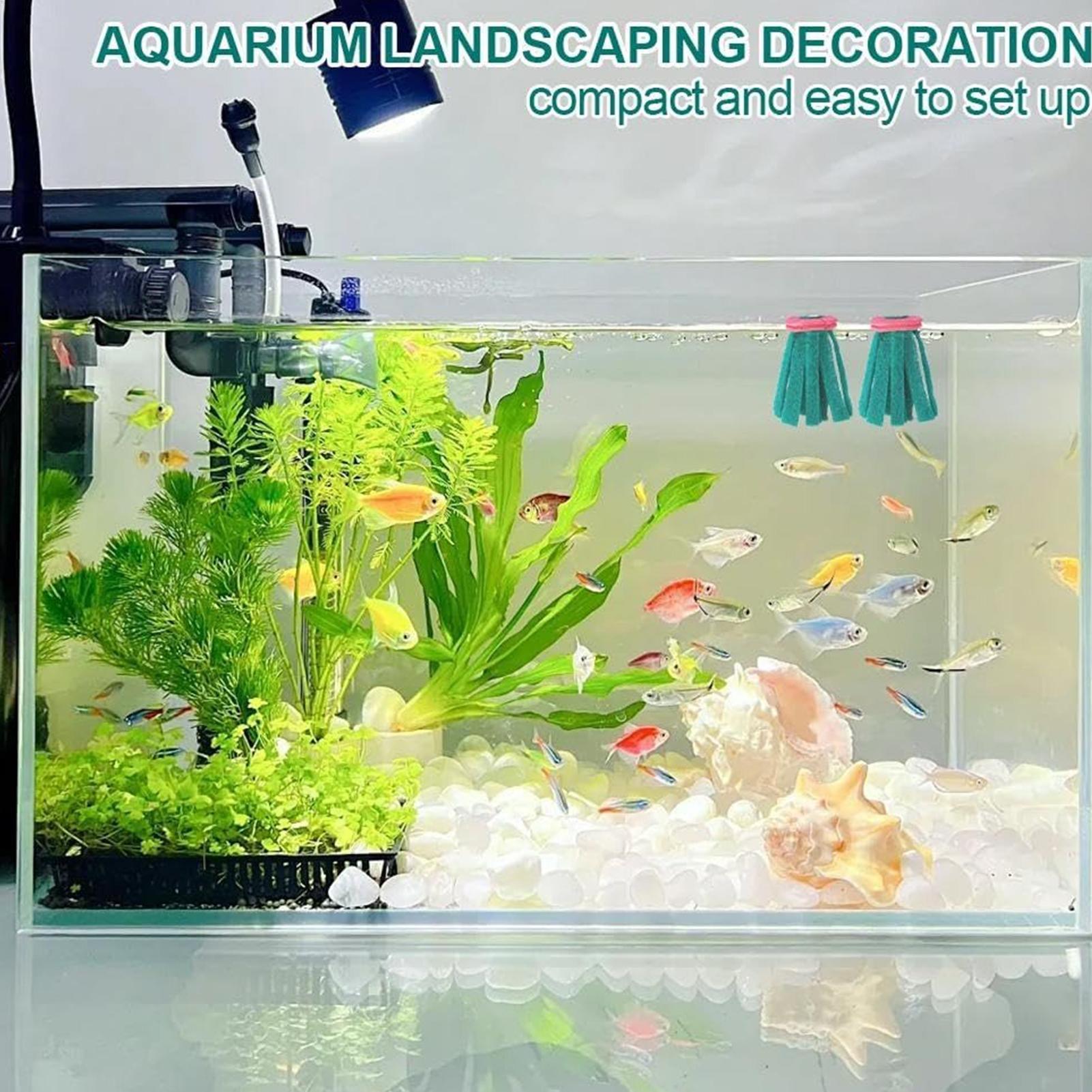 10 adet akvaryum yumurtlama mo - Aquarium Fish Eggs incelemesi ve fiyatı