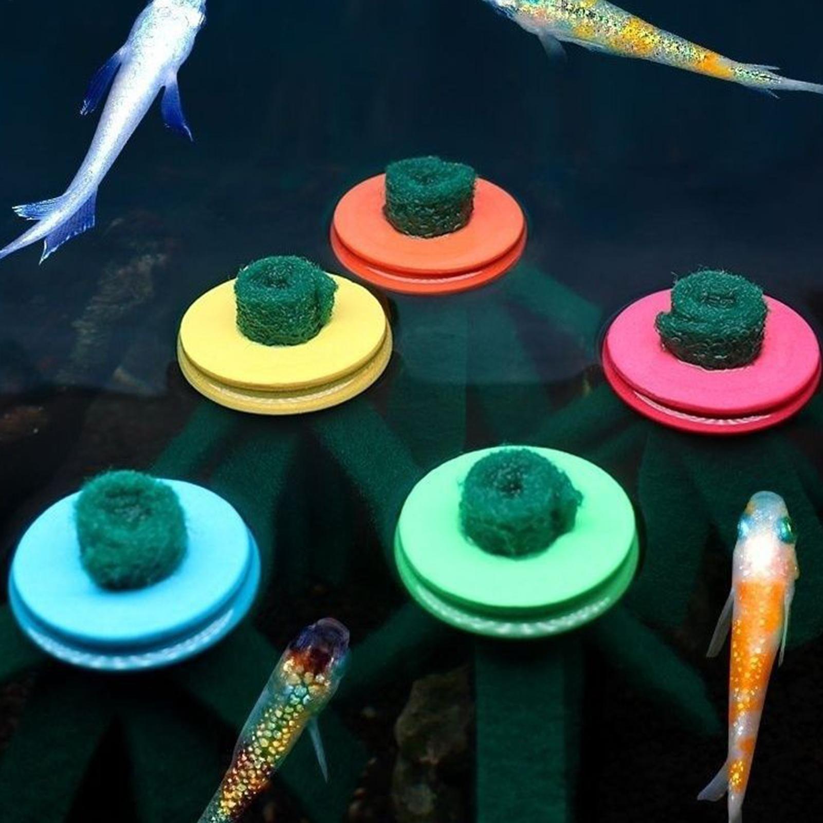 10 adet akvaryum yumurtlama mo - Aquarium Fish Eggs incelemesi ve fiyatı