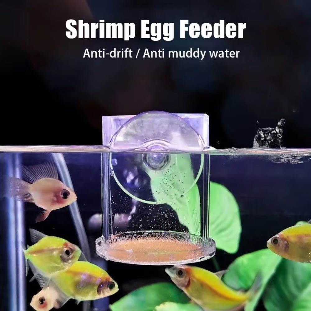 Akrilik Tuzlu Su Karidesi Besl - Aquarium Fish Eggs incelemesi ve fiyatı