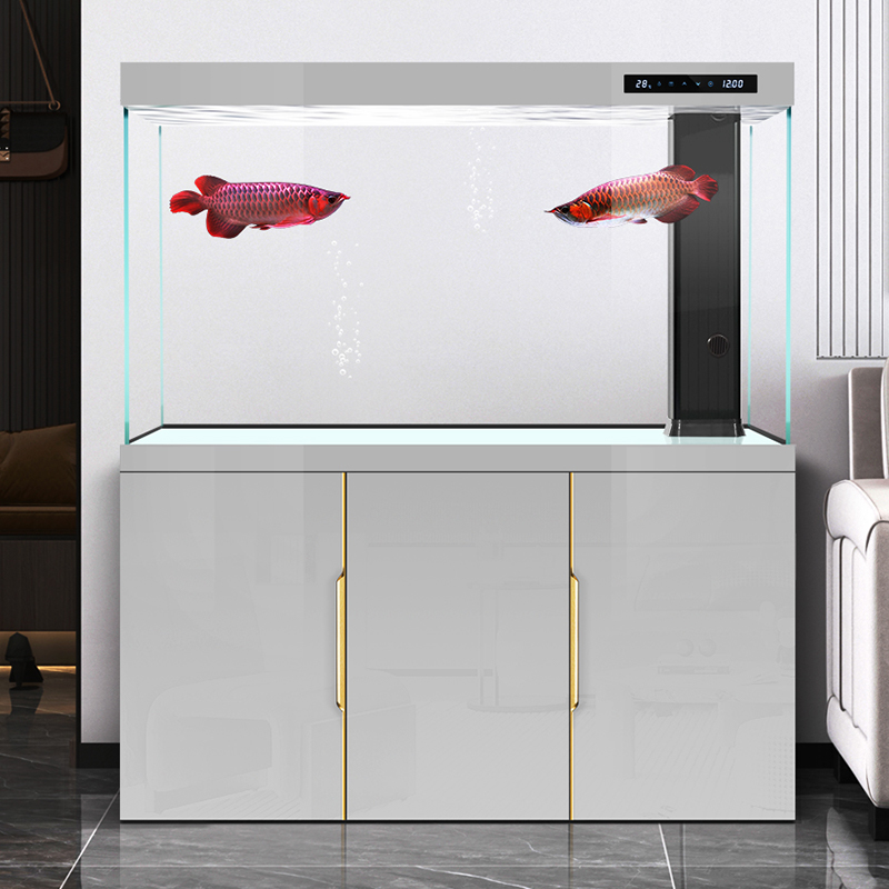 Balık tankı oturma odası 2025  - Aquarium Fish Dragon incelemesi ve fiyatı