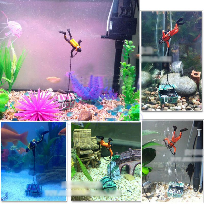 Hazine Dalgıçları Akvaryum Süs - Aquarium Fish World incelemesi ve fiyatı