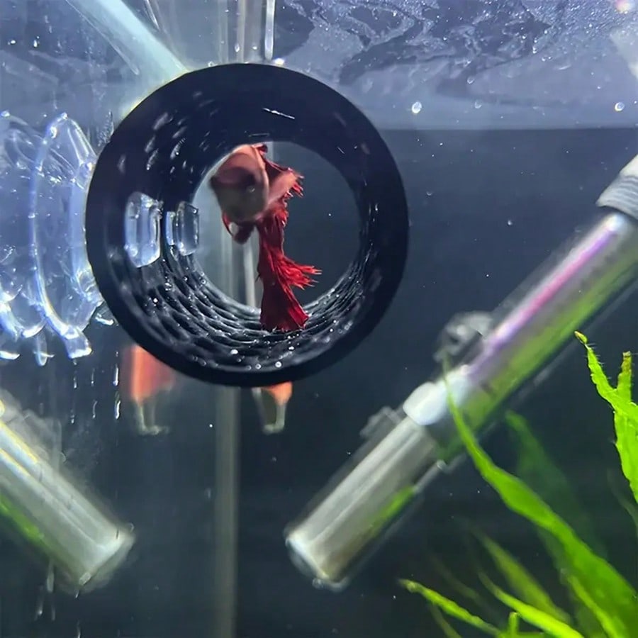 Betta Balığı Saklanma Yeri Oyu - Aquarium Fish Hideout incelemesi ve fiyatı