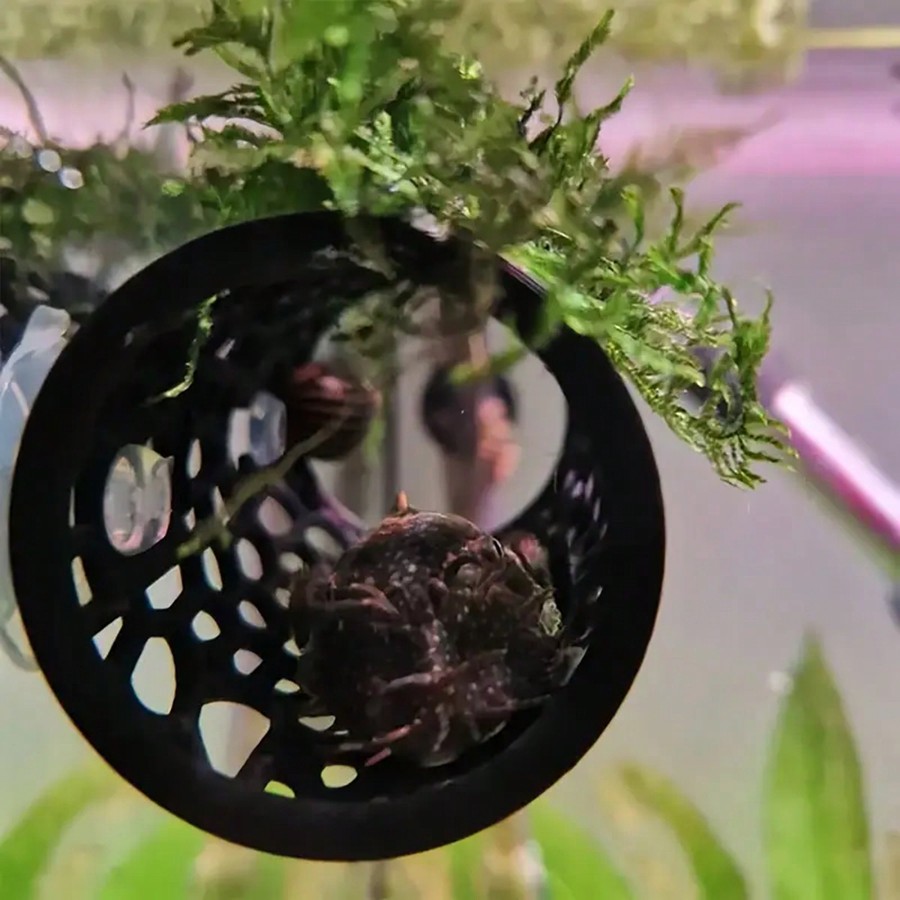 Betta Balığı Saklanma Yeri Oyu - Aquarium Fish Hideout incelemesi ve fiyatı