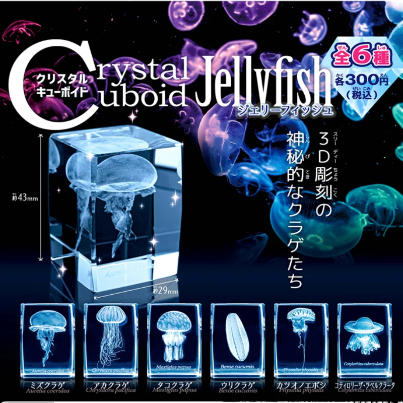 Japonya Gashapon denizanası 3D - Aquarium Fish Japan incelemesi ve fiyatı