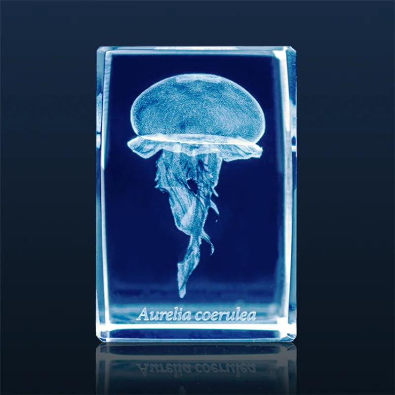 Japonya Gashapon denizanası 3D - Aquarium Fish Japan incelemesi ve fiyatı