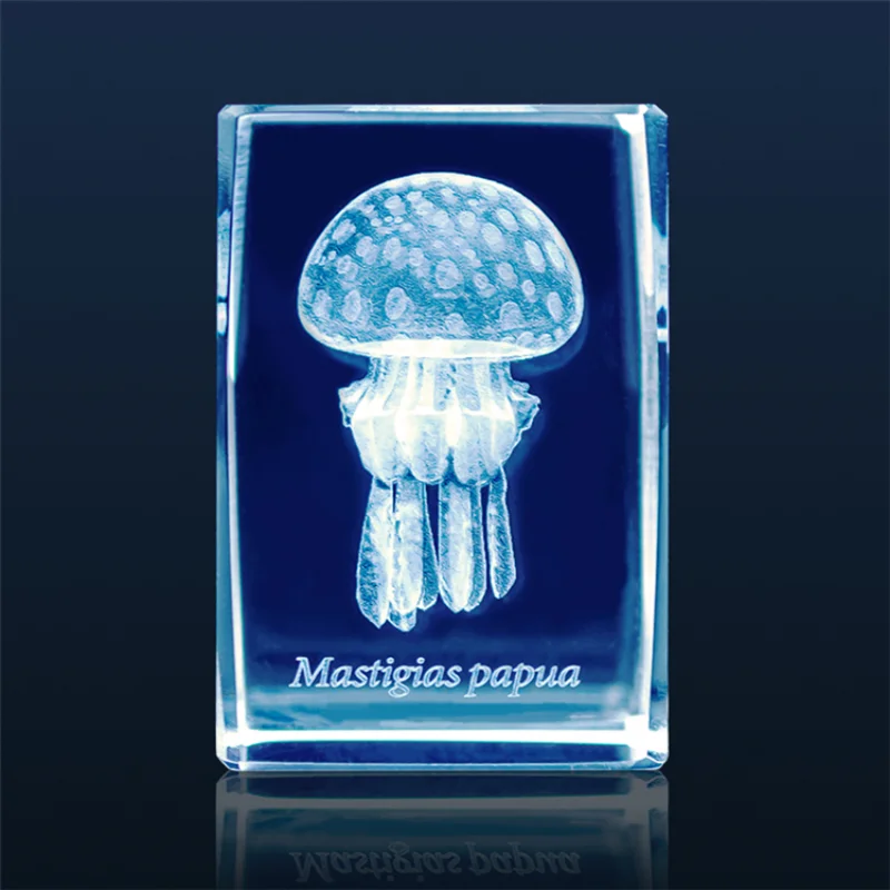 Japonya Gashapon denizanası 3D - Aquarium Fish Japan incelemesi ve fiyatı