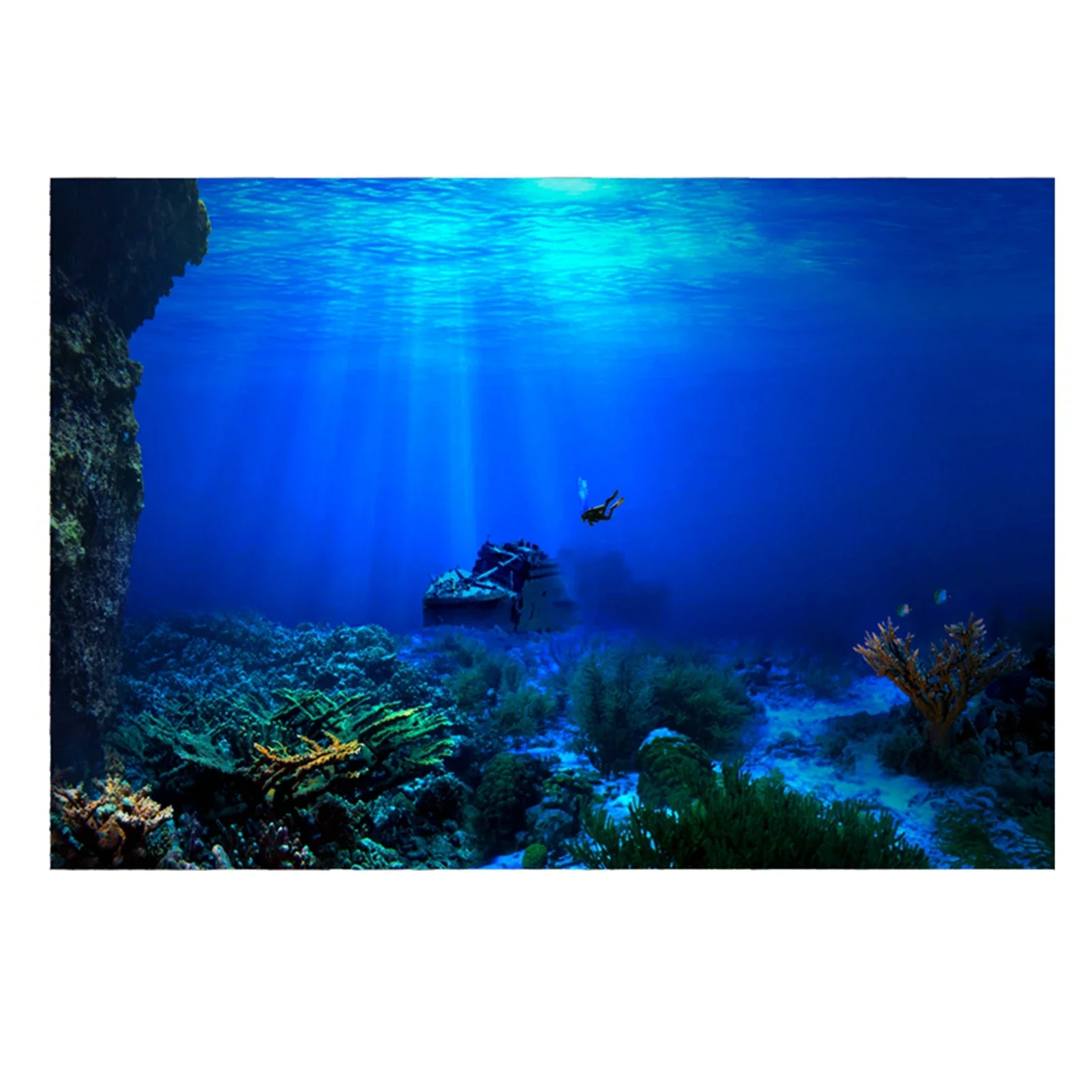 Rainforest akvaryum arka plan  - Aquarium Fish World incelemesi ve fiyatı