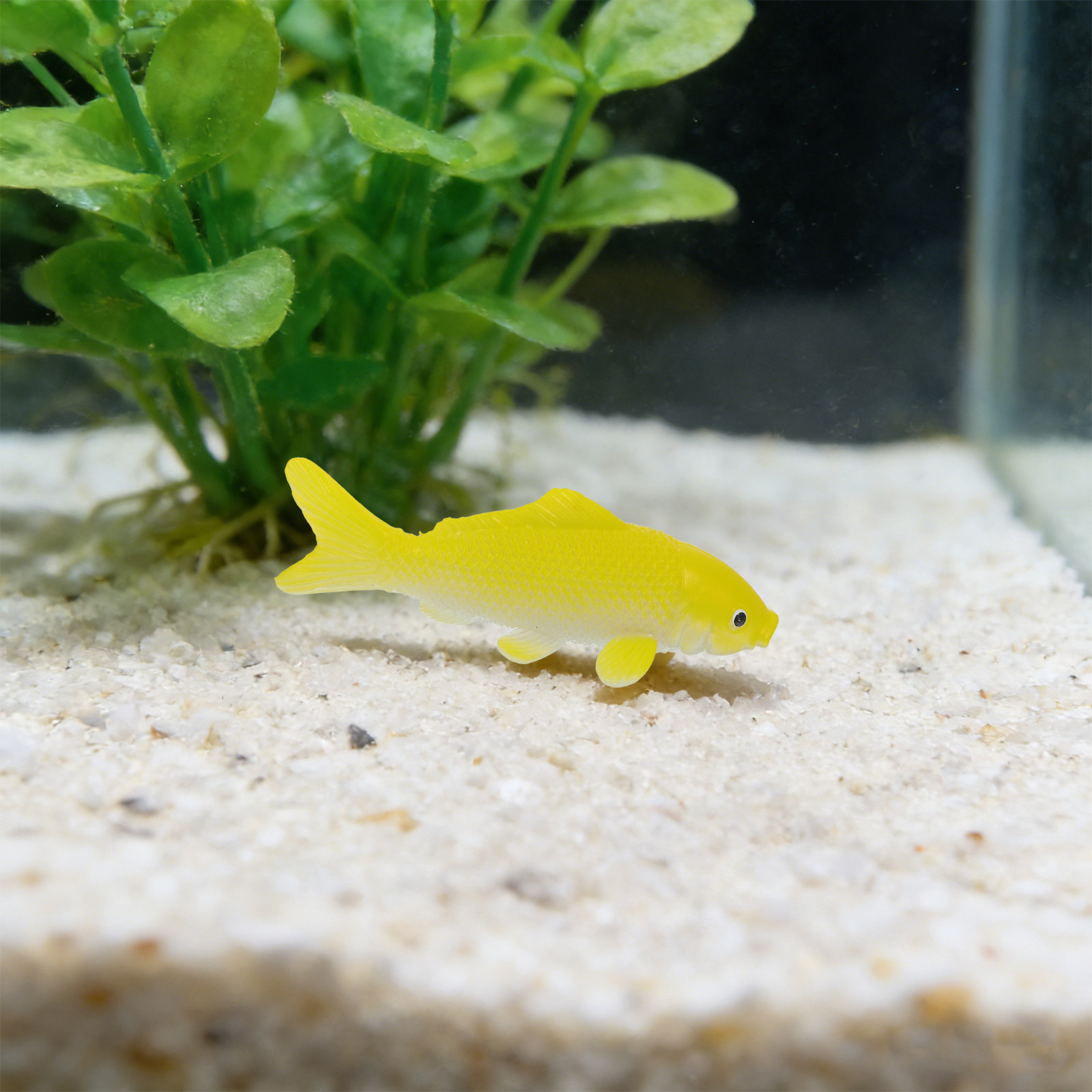 3 adet Balık El Sanatları Oyun - Aquarium Fish In Pond incelemesi ve fiyatı