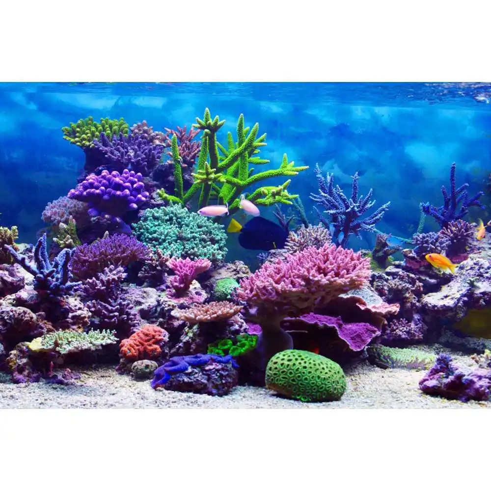 Sualtı Dünyası Deniz Dibi Fonu - Aquarium Fish World incelemesi ve fiyatı