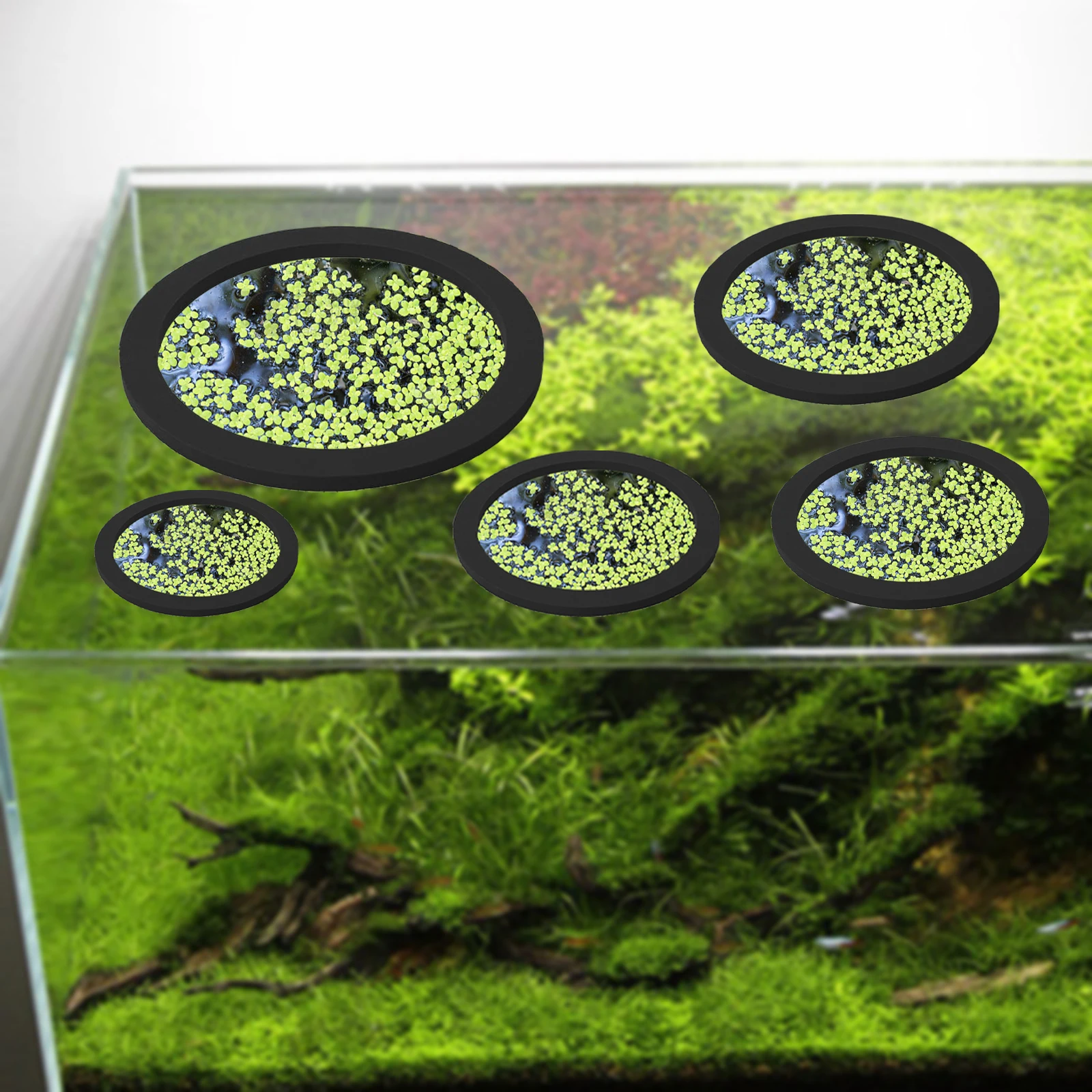 5 adet EVA balık besleme halka - Aquarium Fish In Pond incelemesi ve fiyatı