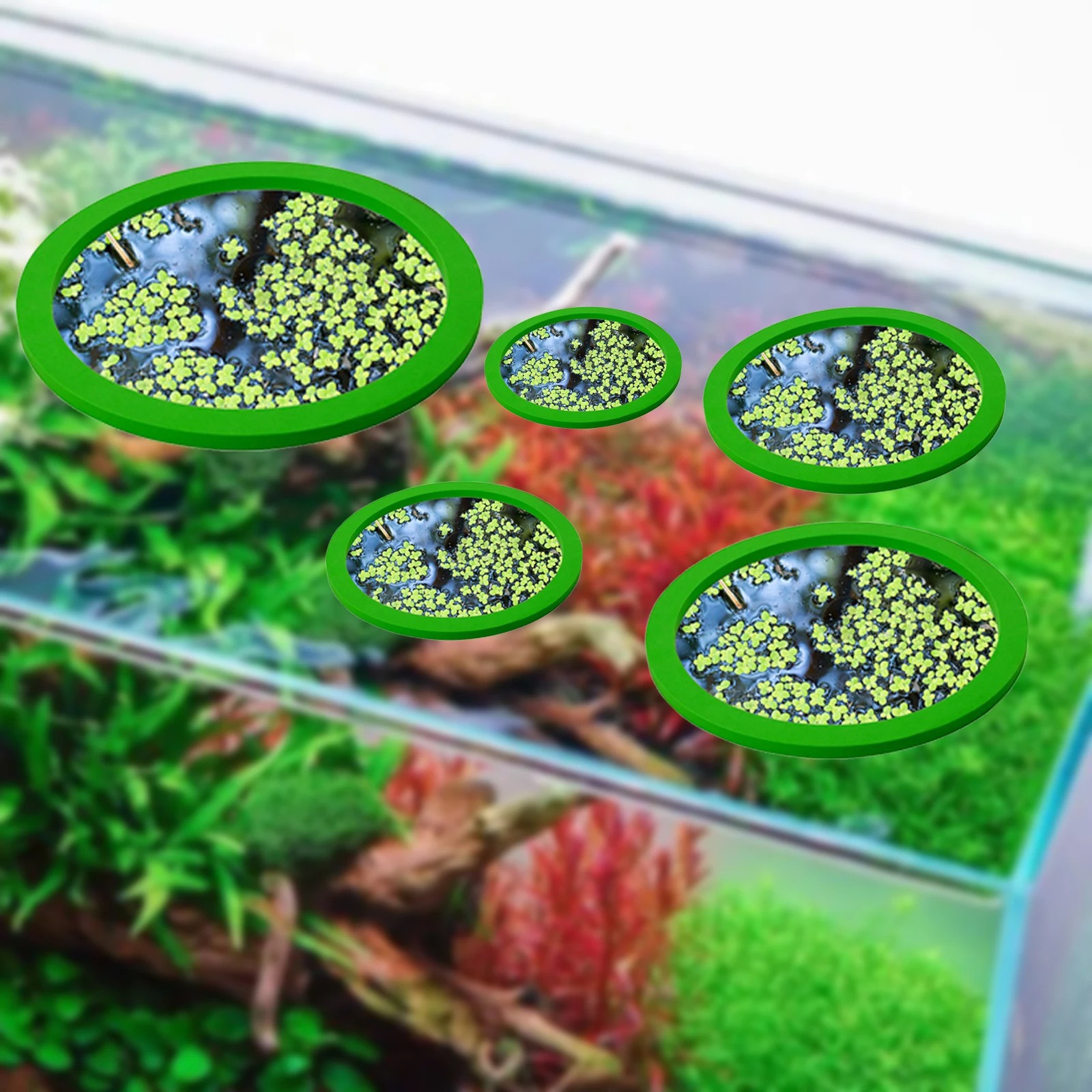 5 adet EVA balık besleme halka - Aquarium Fish In Pond incelemesi ve fiyatı