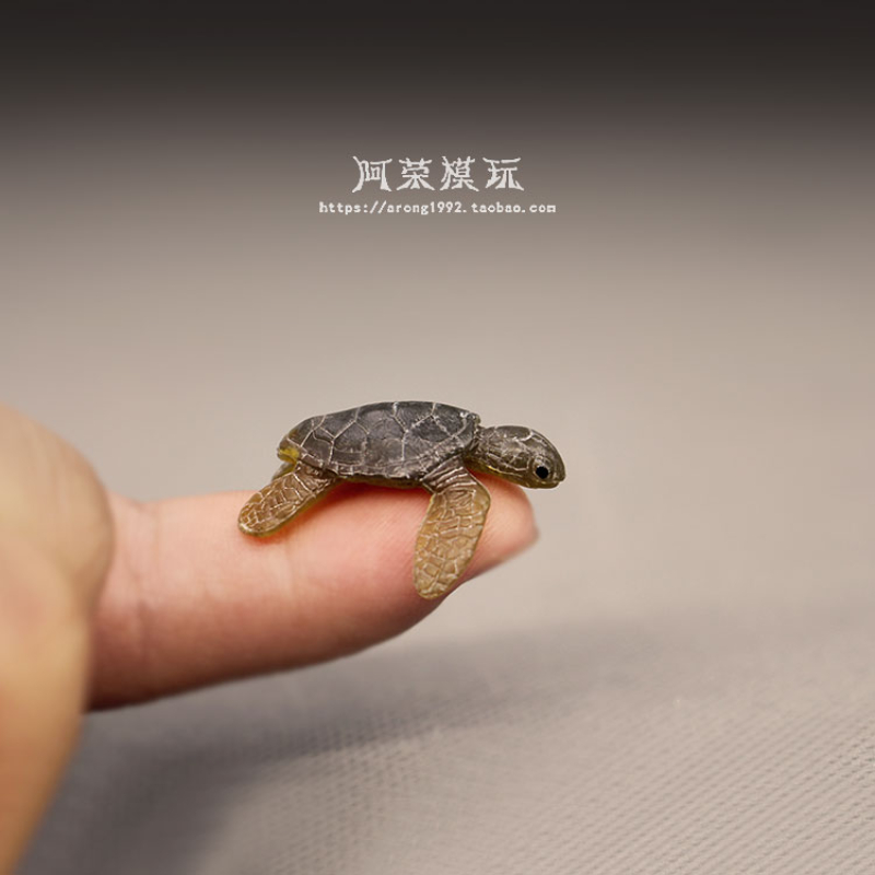Deniz yaşamı deniz kaplumbağas - Aquarium Fish Japan incelemesi ve fiyatı