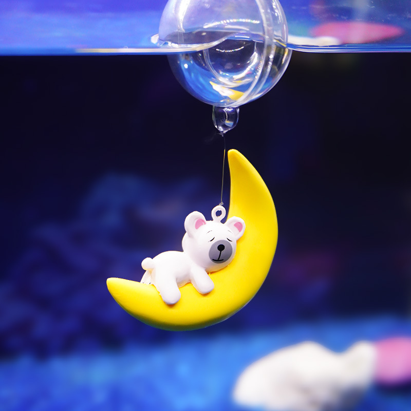 Akvaryum Severler Ay Ayı Dalgı - Aquarium Fish World incelemesi ve fiyatı