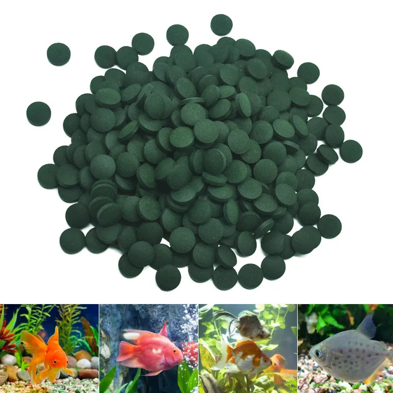 50-300 Adet Yüksek Saflıkta Sp - Aquarium Fish Eggs incelemesi ve fiyatı