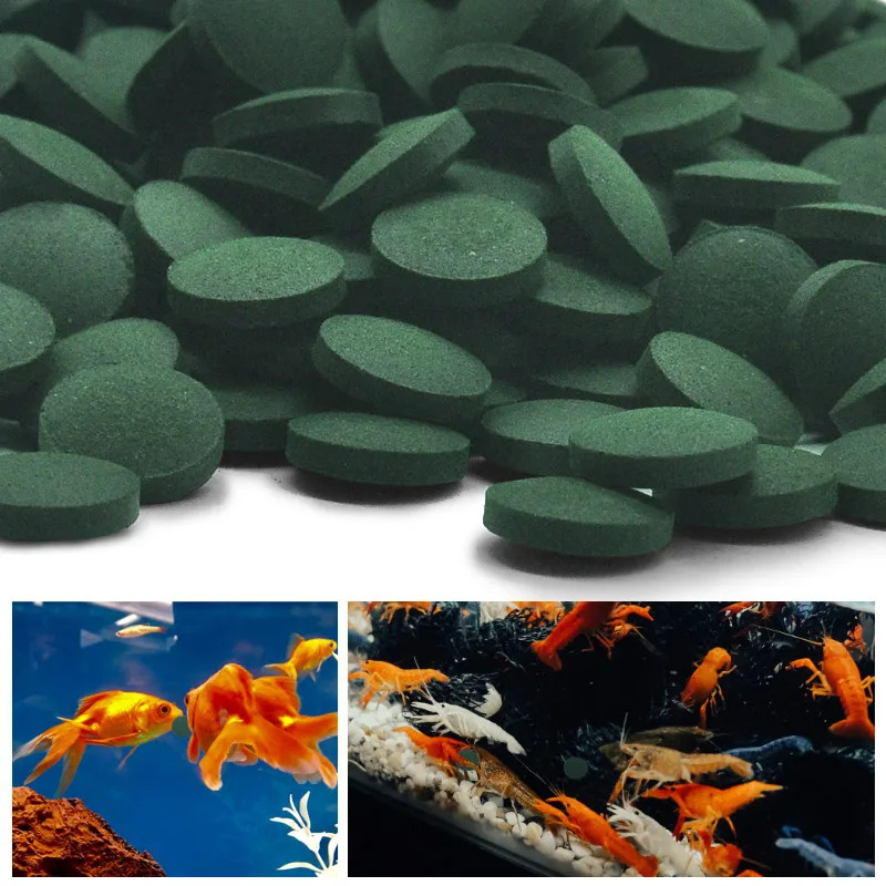 50-300 Adet Yüksek Saflıkta Sp - Aquarium Fish Eggs incelemesi ve fiyatı