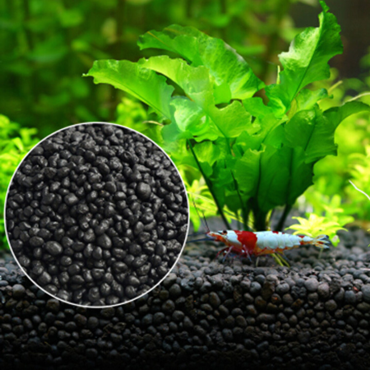Akvaryum bitki tohumları topra - Aquarium Fish Store incelemesi ve fiyatı