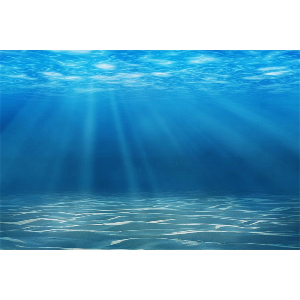 Sualtı Dünyası Deniz Dibi Foto - Aquarium Fish World incelemesi ve fiyatı