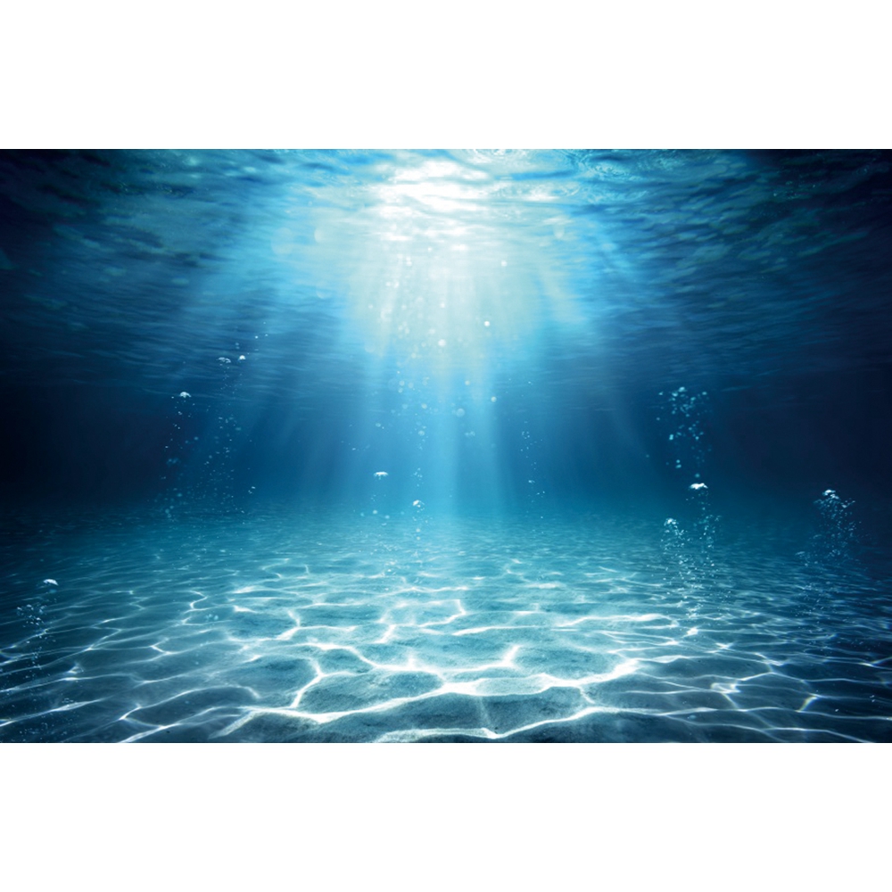 Sualtı Dünyası Deniz Dibi Foto - Aquarium Fish World incelemesi ve fiyatı