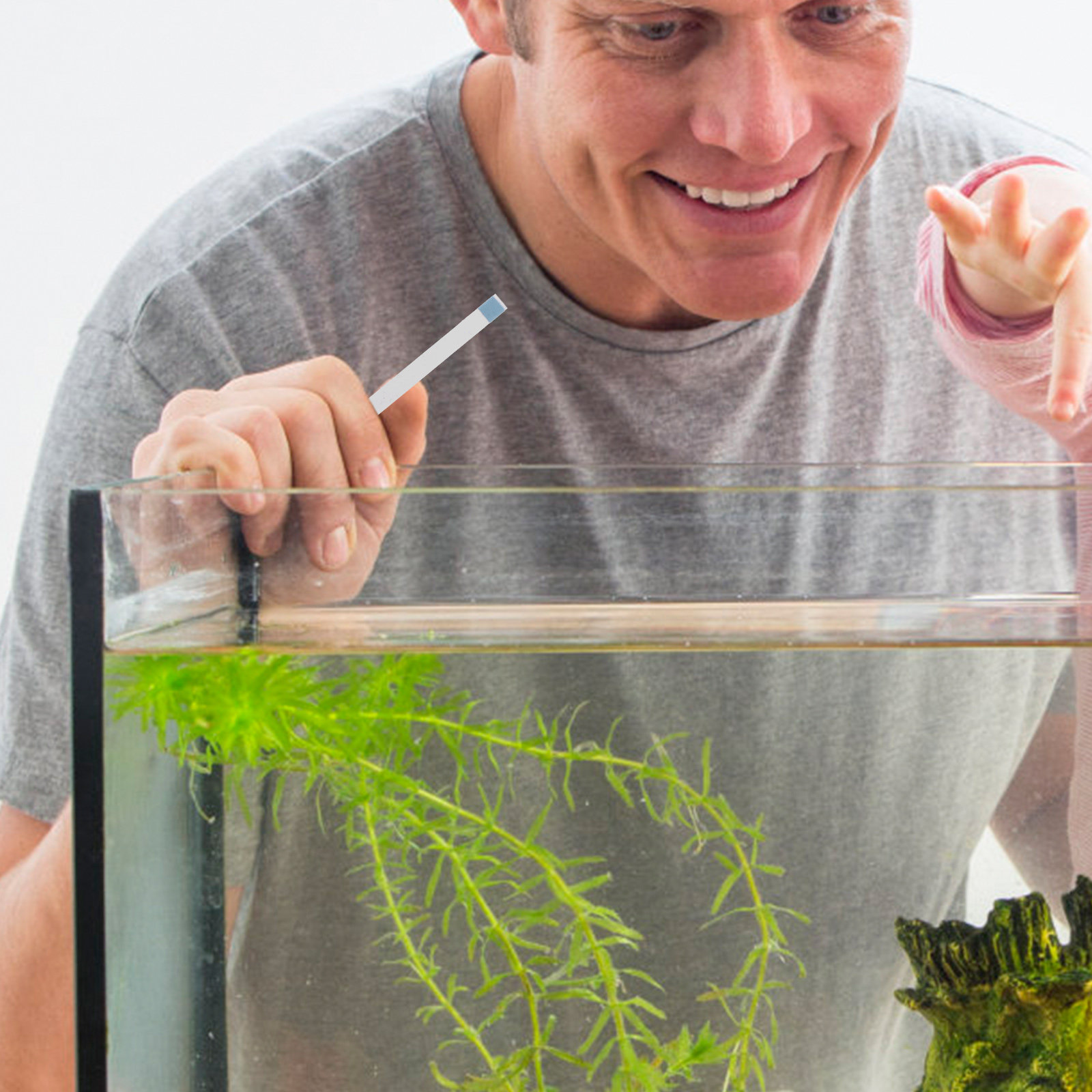 Yüzme Havuzu Test Şeritleri, J - Aquarium Fish In Pond incelemesi ve fiyatı