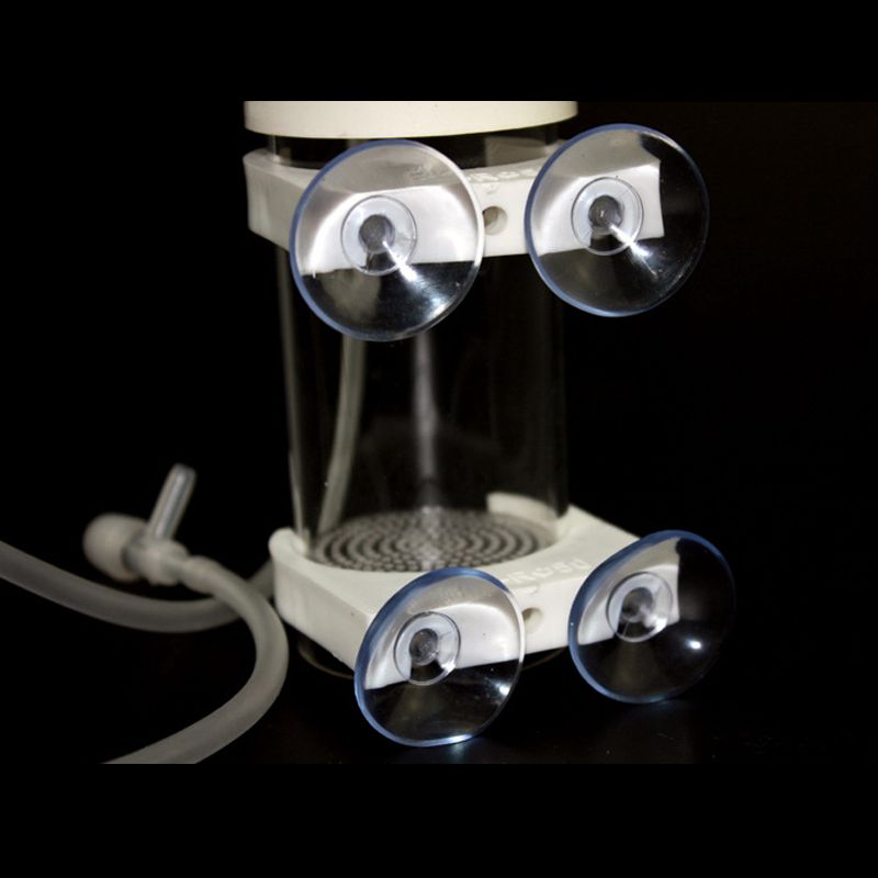 Akvaryum Çiklit Balıkları Tumb - Aquarium Fish Eggs incelemesi ve fiyatı