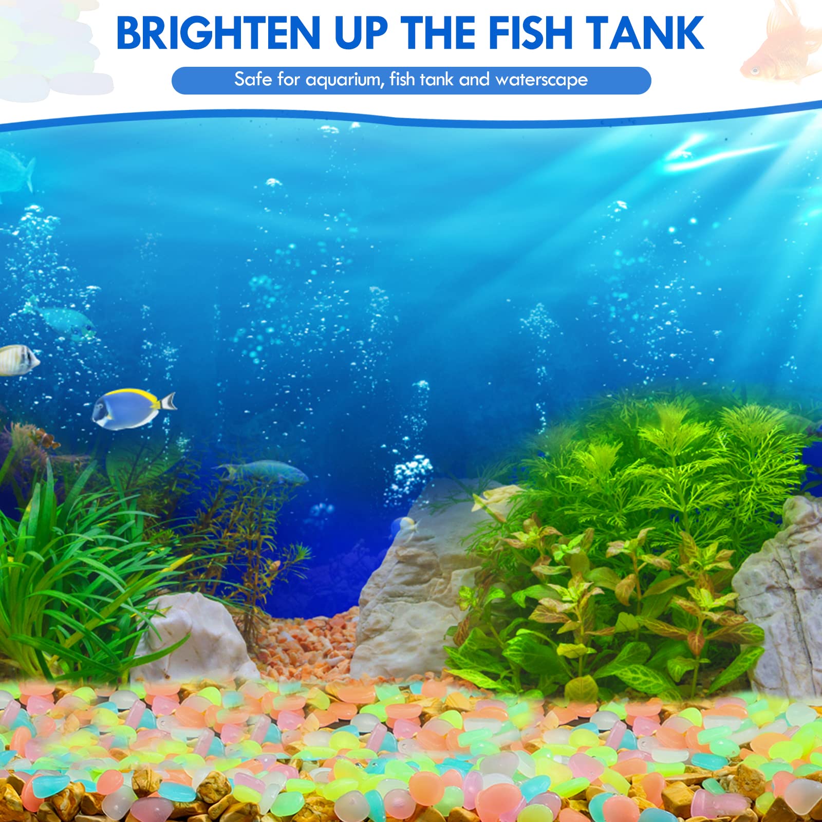 100 Adet Karanlıkta Glow Bahçe - Aquarium Fish Store incelemesi ve fiyatı