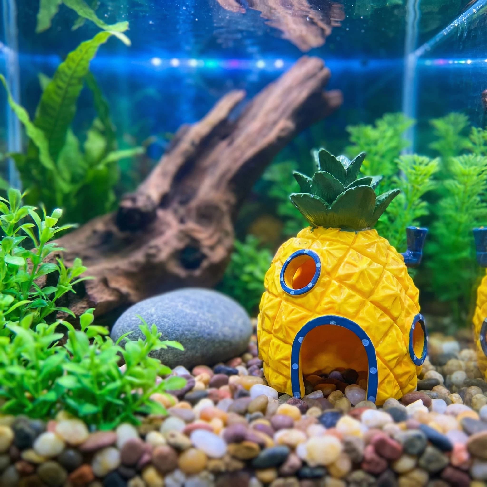 Ananas Evi Akvaryum Dekoru, Be - Aquarium Fish Hideout incelemesi ve fiyatı