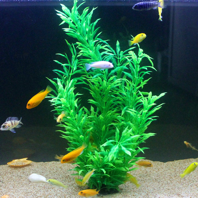 50 CM Yapay Balık Tankı Nadir  - Aquarium Fish Store incelemesi ve fiyatı