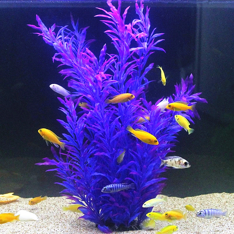 50 CM Yapay Balık Tankı Nadir  - Aquarium Fish Store incelemesi ve fiyatı