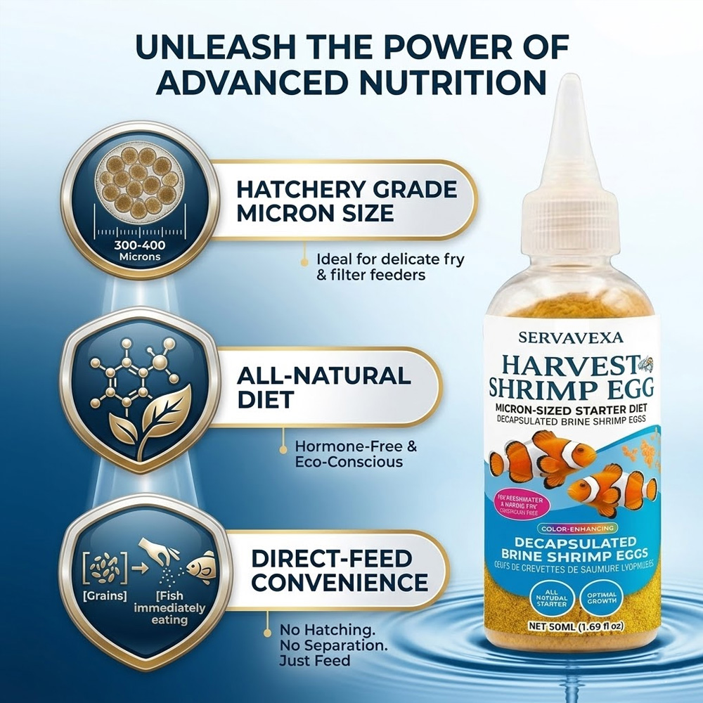 Yüksek Proteinli Balık Yemi, B - Aquarium Fish Eggs incelemesi ve fiyatı
