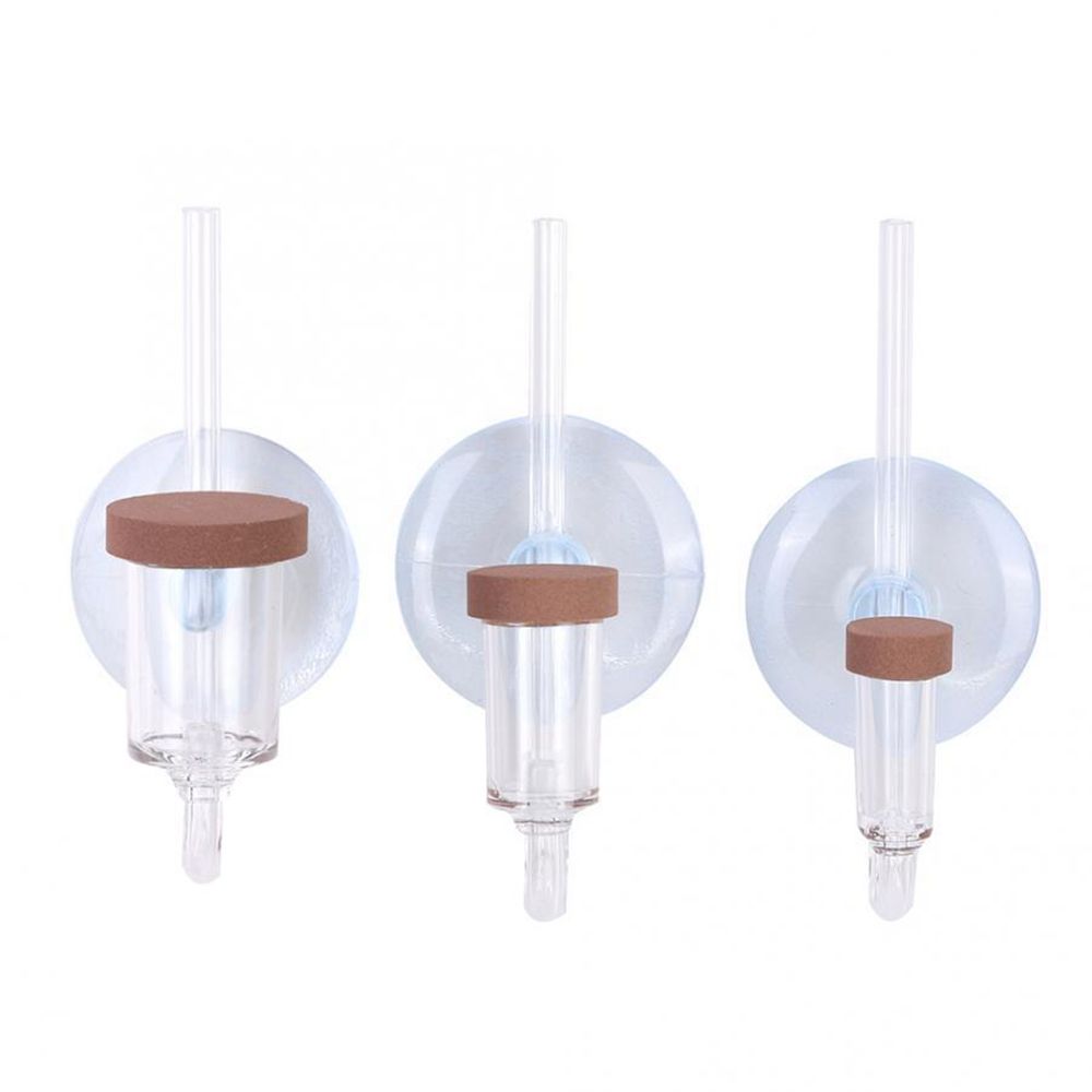 Akrilik Mini Balık Tankı Canlı - Aquarium Fish Store incelemesi ve fiyatı