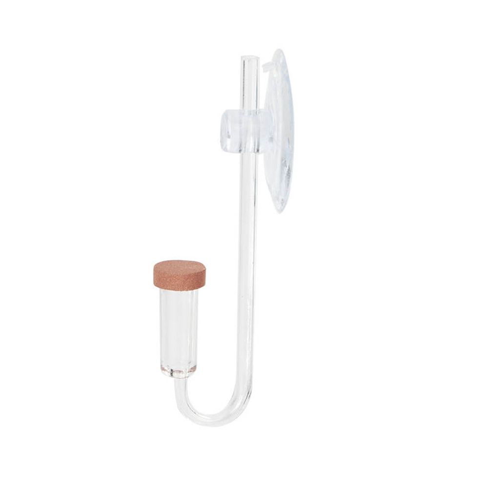 Akrilik Mini Balık Tankı Canlı - Aquarium Fish Store incelemesi ve fiyatı