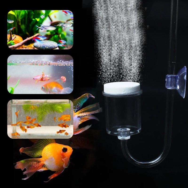 4 adet Set DIY CO2 difüzör içi - Aquarium Fish Store incelemesi ve fiyatı