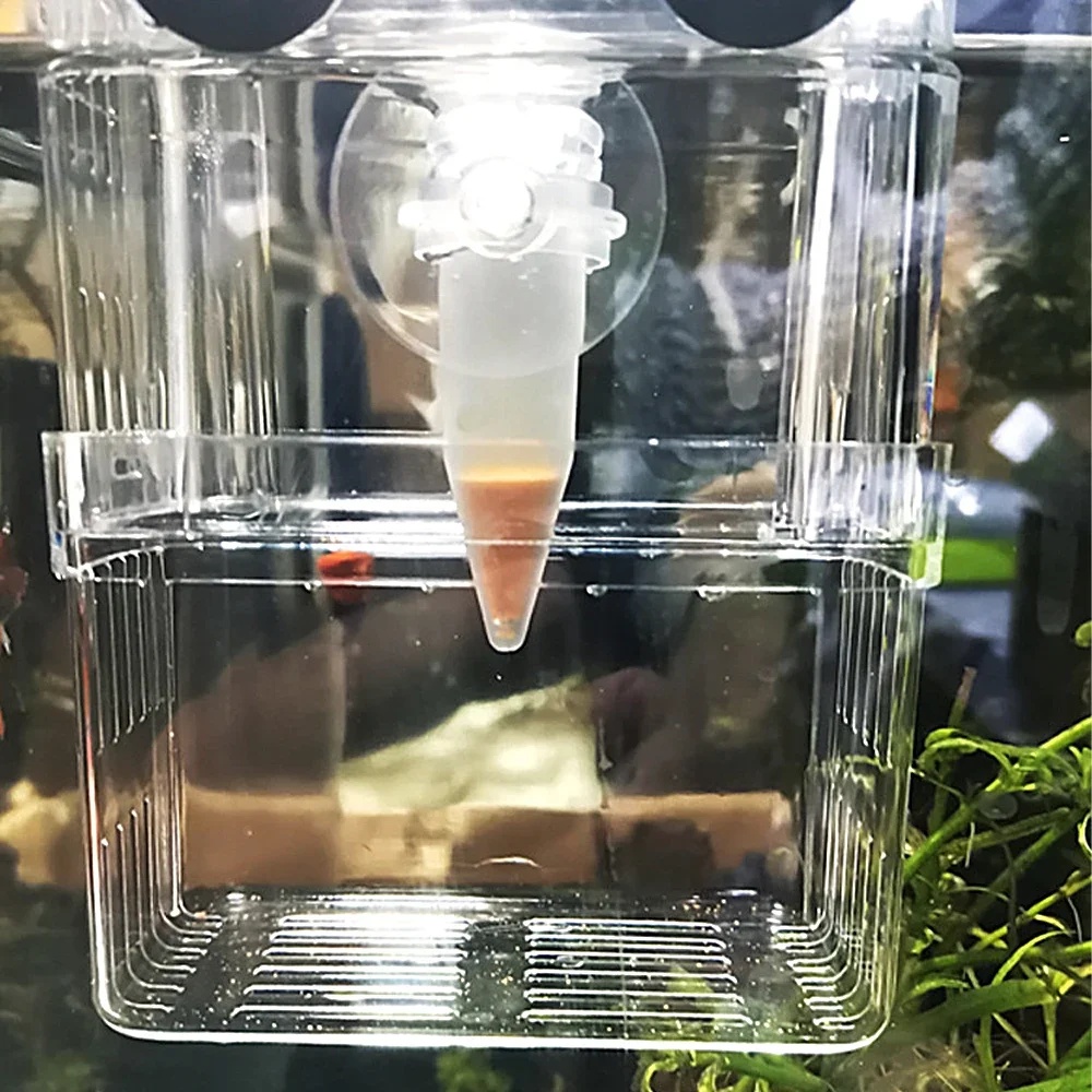 Otomatik Balık Besleyici Koni  - Aquarium Fish Eggs incelemesi ve fiyatı