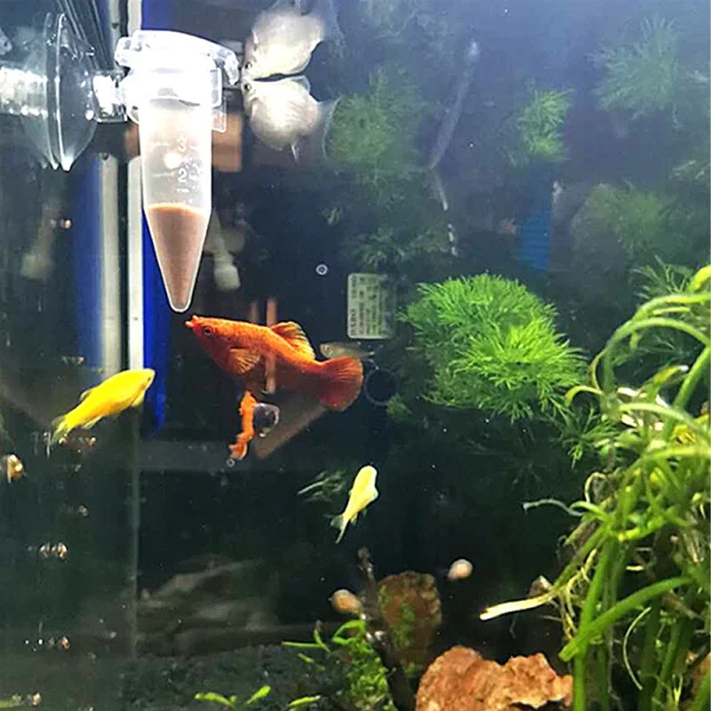 Otomatik Balık Besleyici Koni  - Aquarium Fish Eggs incelemesi ve fiyatı